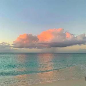 国产美女张开腿漏尿口桶100%
