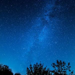 国产美女张开腿漏尿口桶100%
